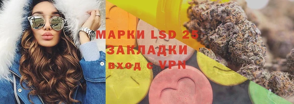 ПСИЛОЦИБИНОВЫЕ ГРИБЫ Верхний Тагил